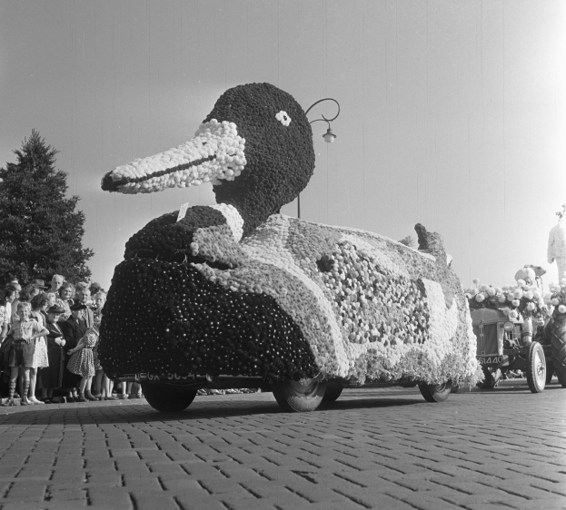 Schwarzes und weißes Foto eines Enten-Umzugs-Floßes, das mit Blumen geschmückt ist, mit Menschen auf der linken Seite und Bäumen im Hintergrund.
