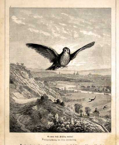 Gravur eines Wanderfalken im Flug über einen Hügel mit Bäumen und Gebäuden, detaillierte Flügel und Federn, mit Text unten.