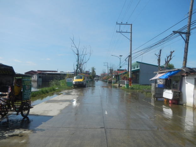 Überflutete Straße mit einem Rikscha am Straßenrand geparkt, Fahrzeuge fahren, Strommasten mit Drähten, Gebäude und Bäume im Hintergrund und ein sichtbarer Himmel.