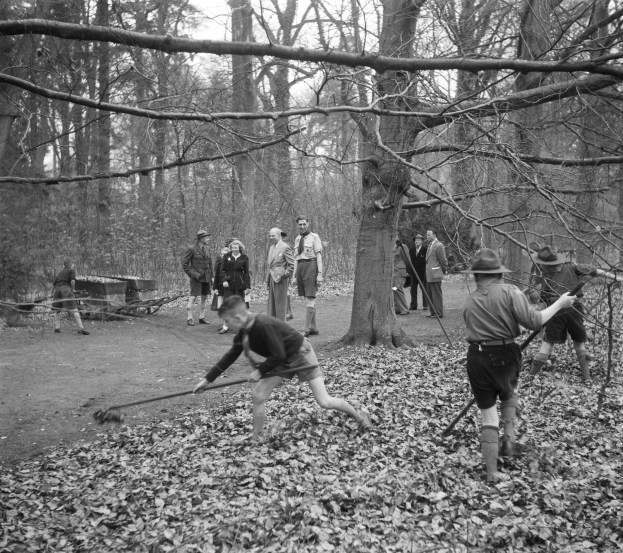 Schwarz-weiß-Foto einer Gruppe von Menschen, die mit Stöcken in einem bewaldeten Gebiet mit heruntergefallenen Blättern spielen.