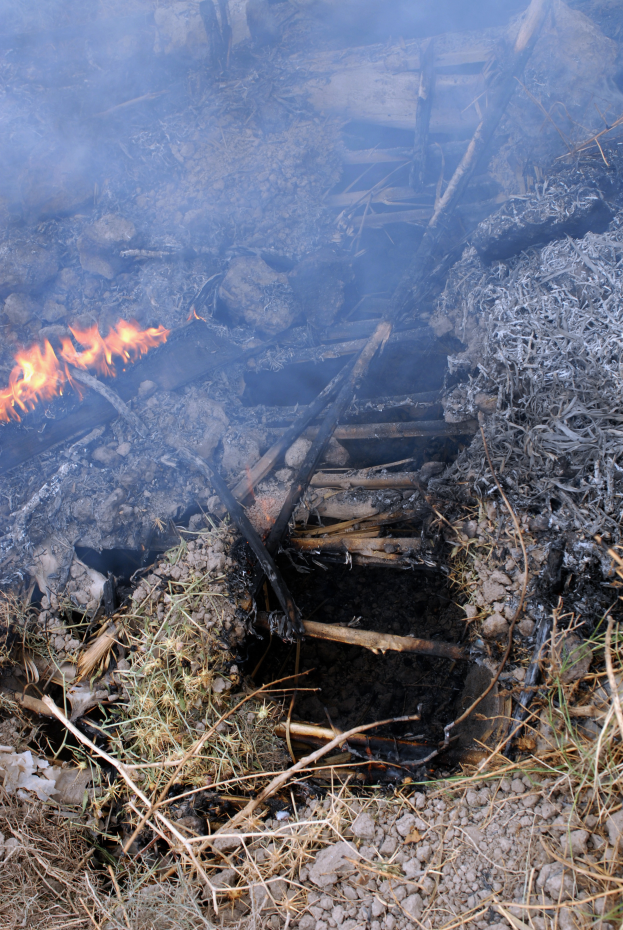 Ein Feuer lodert hell inmitten eines Schuttes, umgeben von Gras, Steinen und Holzstöcken, erhellt die Umgebung.