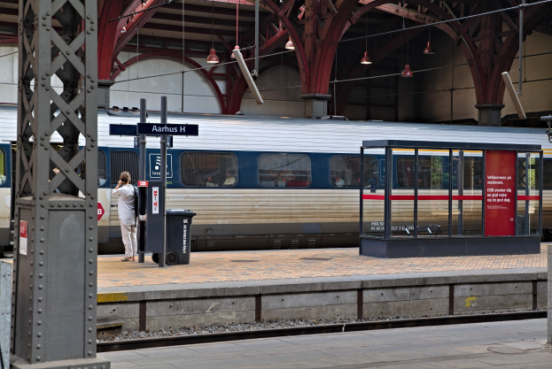Ein Zug fährt auf einem Bahnsteig ein, wo eine Person steht, mit einem nahen Müllbehälter, Pfählen, Informationsanzeigen und Deckenleuchten.