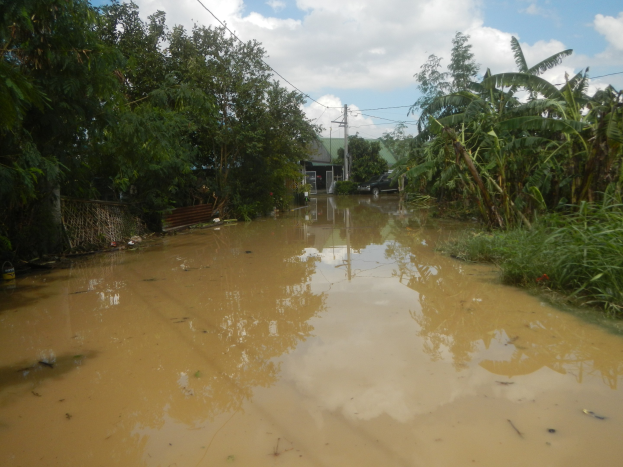 Eine überflutete Landstraße mit Wasser, das die Straße, Pflanzen und Bäume auf beiden Seiten bedeckt, und einem rechts geparkten Auto, mit Häusern, Strommasten und Drähten im Hintergrund unter einem bewölkten Himmel.