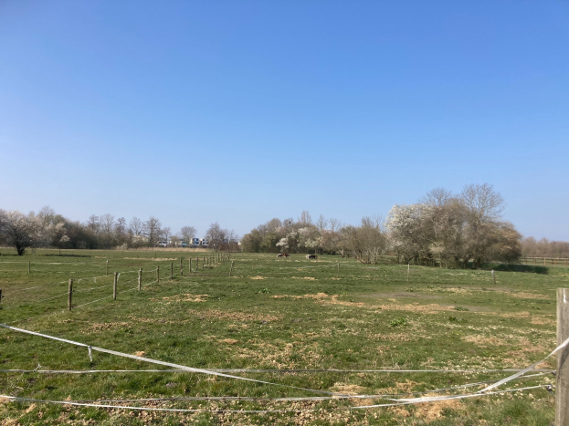 Eine grüne Wiese, die von einem Zaun durchteilt wird und von Bäumen umgeben ist, mit einem klaren blauen Himmel, und einem zum Verkauf stehenden Grundstück, das von Parzelle 1 bis 50 reicht.