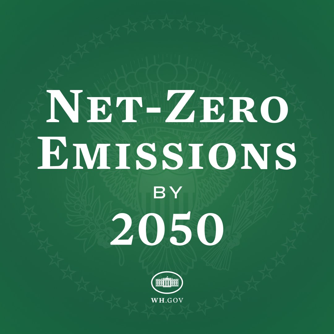 Fetter weißer Text "netto-null-Emissionen bis 2050" auf einem festen grünen Hintergrund.