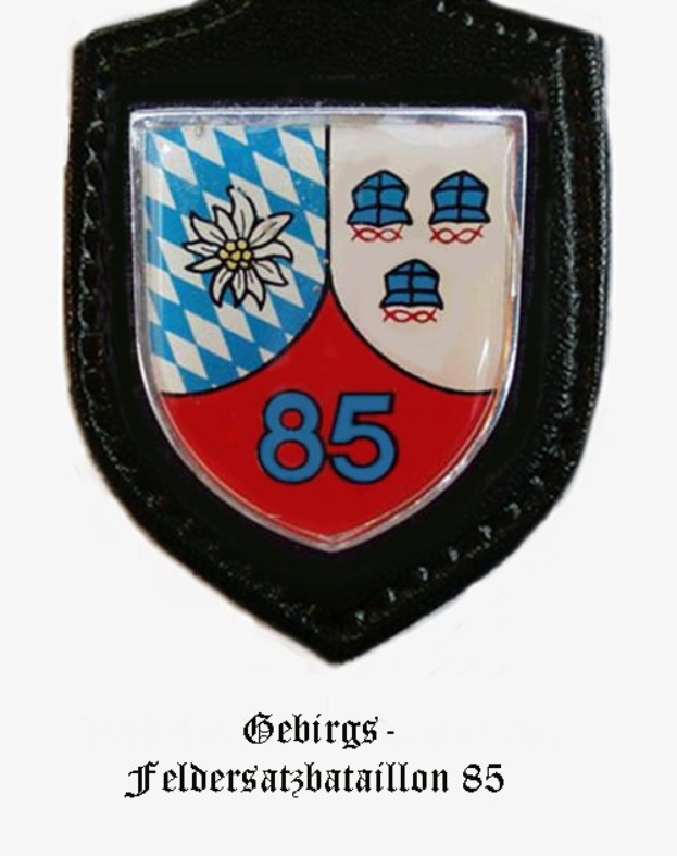 Ein rundes Abzeichen mit der Zahl 85 und dem Logo von FC Bayern München, das deutsche Text am Boden zeigt.
