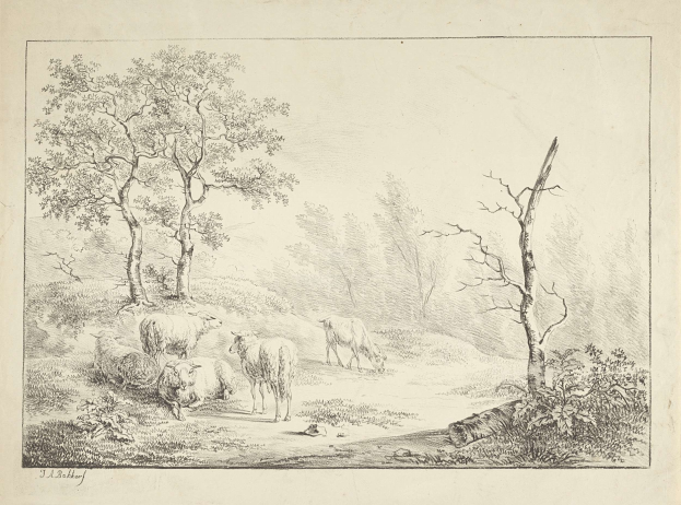 Eine bewaldete Landschaft mit grasenden Schafen im Vordergrund, umgeben von Bäumen und Pflanzen, und Text am unteren Rand.